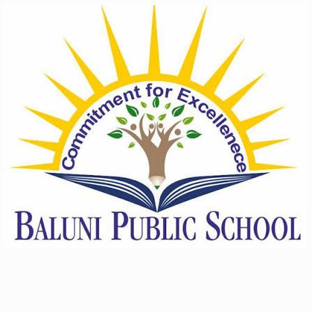 Baluni Partner